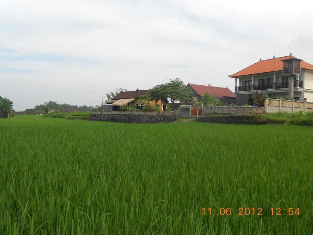 Villa Jasmine B&B Ubud Eksteriør billede