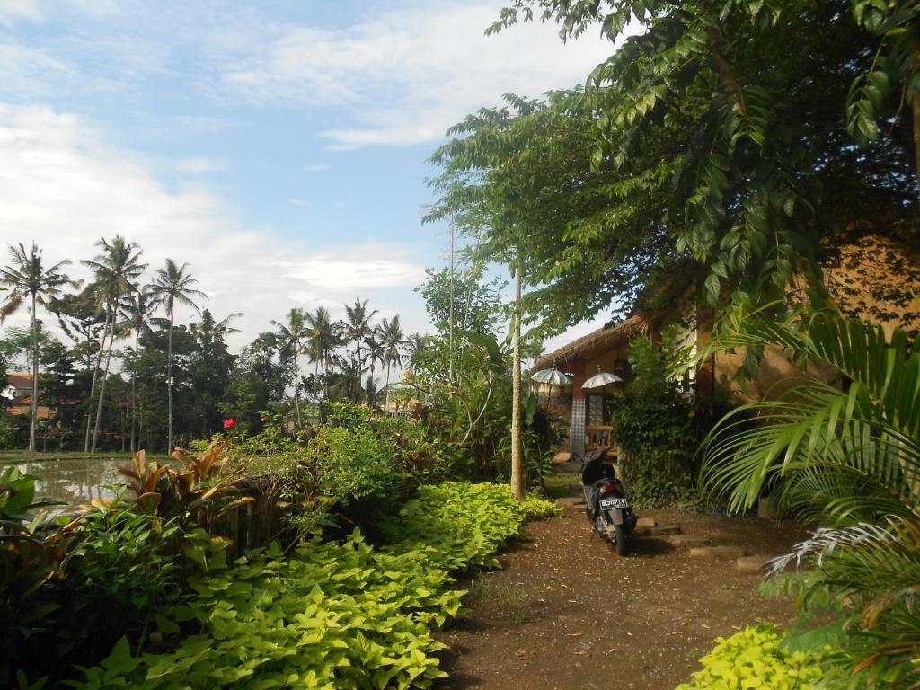 Villa Jasmine B&B Ubud Eksteriør billede